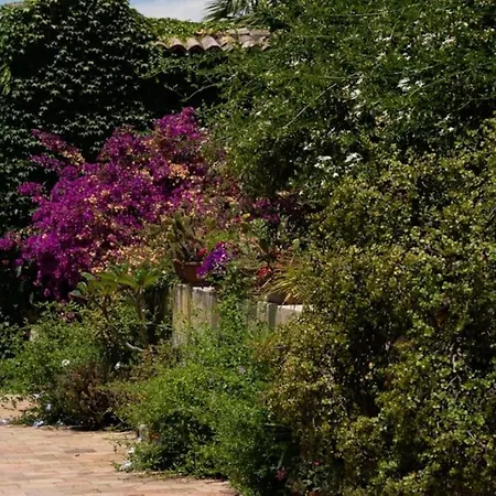 Farma Pietre Di Gelo Carlentini