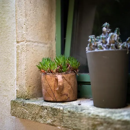 Farm stay Pietre Di Gelo *